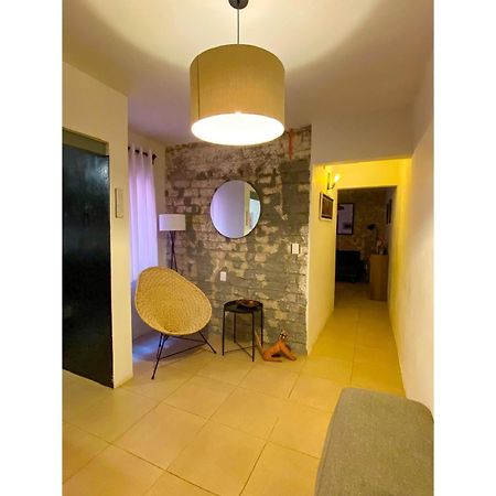 דירות מקסיקו סיטי Cozy Flat Condesa מראה חיצוני תמונה